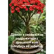 Постер книги Дракон в горшке. Как подружиться с драценой и не погубить её заботой
