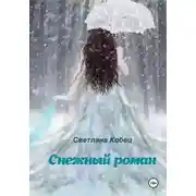 Постер книги Снежный роман