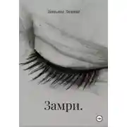 Постер книги Замри