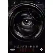 Постер книги Идеальный снимок