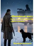 Владимир Кожедеев - «Литейный мост» Дело, в котором решилась судьба империи