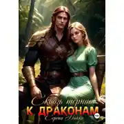 Постер книги Сквозь тернии к драконам