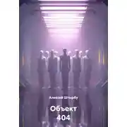 Постер книги Объект 404