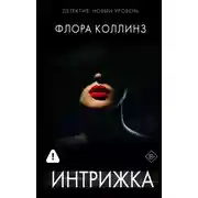 Постер книги Интрижка