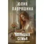 Постер книги Большая семья