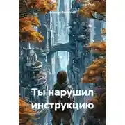 Постер книги Ты нарушил инструкцию
