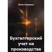 Постер книги Бухгалтерский учет на производстве