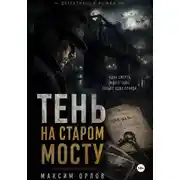 Постер книги Тень на старом мосту