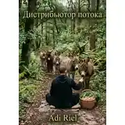 Постер книги Дистрибьютор потока