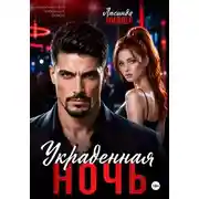 Постер книги Украденная ночь