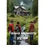 Постер книги Тайна черного ручья
