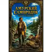 Постер книги Старатель