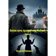 Постер книги Белая ночь правды над Мойкой. Книга 2