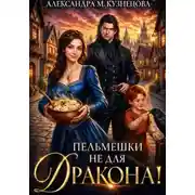 Постер книги Пельмешки не для дракона!