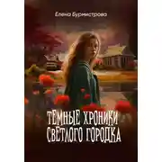 Постер книги Темные хроники светлого городка
