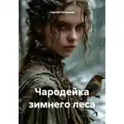 Постер книги Чародейка зимнего леса