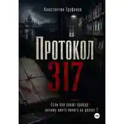 Постер книги Протокол 317