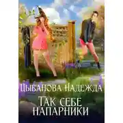 Постер книги Так себе напарники