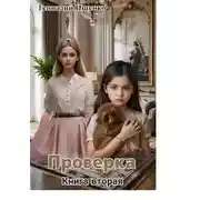 Постер книги Проверка. Книга вторая