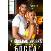 Постер книги Командировка. Путь к сердцу босса