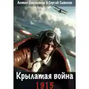 Постер книги Крылатая война. 1915. Книга 1