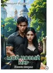 Геннадий Ищенко - Мой новый мир. Книга 2