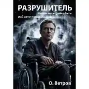 Постер книги Разрушитель