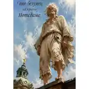 Постер книги Ганс безумец на крыше Потсдама