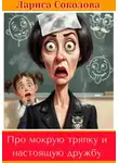 Лариса Соколова - Про мокрую тряпку и настоящую дружбу