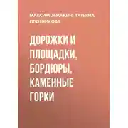 Постер книги Дорожки и площадки, бордюры, каменные горки