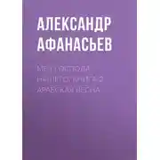 Постер книги Меч Господа нашего. Книга 2. Арабская весна