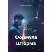 Постер книги Формула Шторма