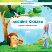 Постер книги Лесные сказки. Поучительные истории