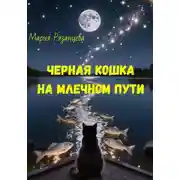 Постер книги Черная кошка на Млечном пути