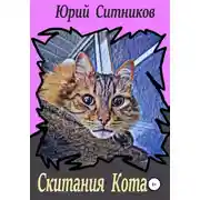Постер книги Скитания Кота