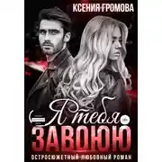 Постер книги Я тебя завоюю