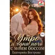 Постер книги Утро и одна ночь с моим боссом