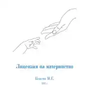 Постер книги Лицензия на материнство