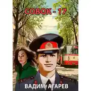 Постер книги Совок-17