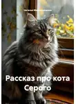 Наталья Мирошниченко - Рассказ про кота Серого