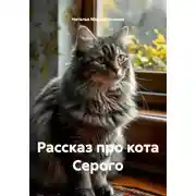 Постер книги Рассказ про кота Серого