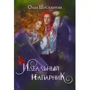 Постер книги Идеальный напарник
