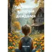 Постер книги Малыш, который дождался