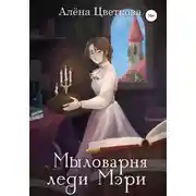 Постер книги Мыловарня леди Мэри