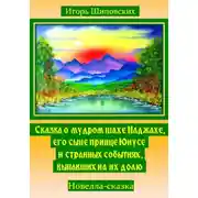 Постер книги Сказка о мудром шахе Наджахе, его сыне принце Юнусе и странных событиях, выпавших на их долю