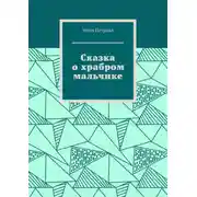 Постер книги Сказка о храбром мальчике