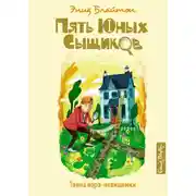Постер книги Тайна вора-невидимки
