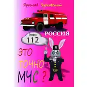 Постер книги Это точно МЧС? Россия