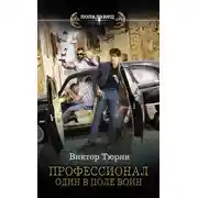 Постер книги Профессионал. Один в поле воин