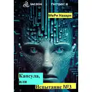 Постер книги Капсула, или Испытание №3